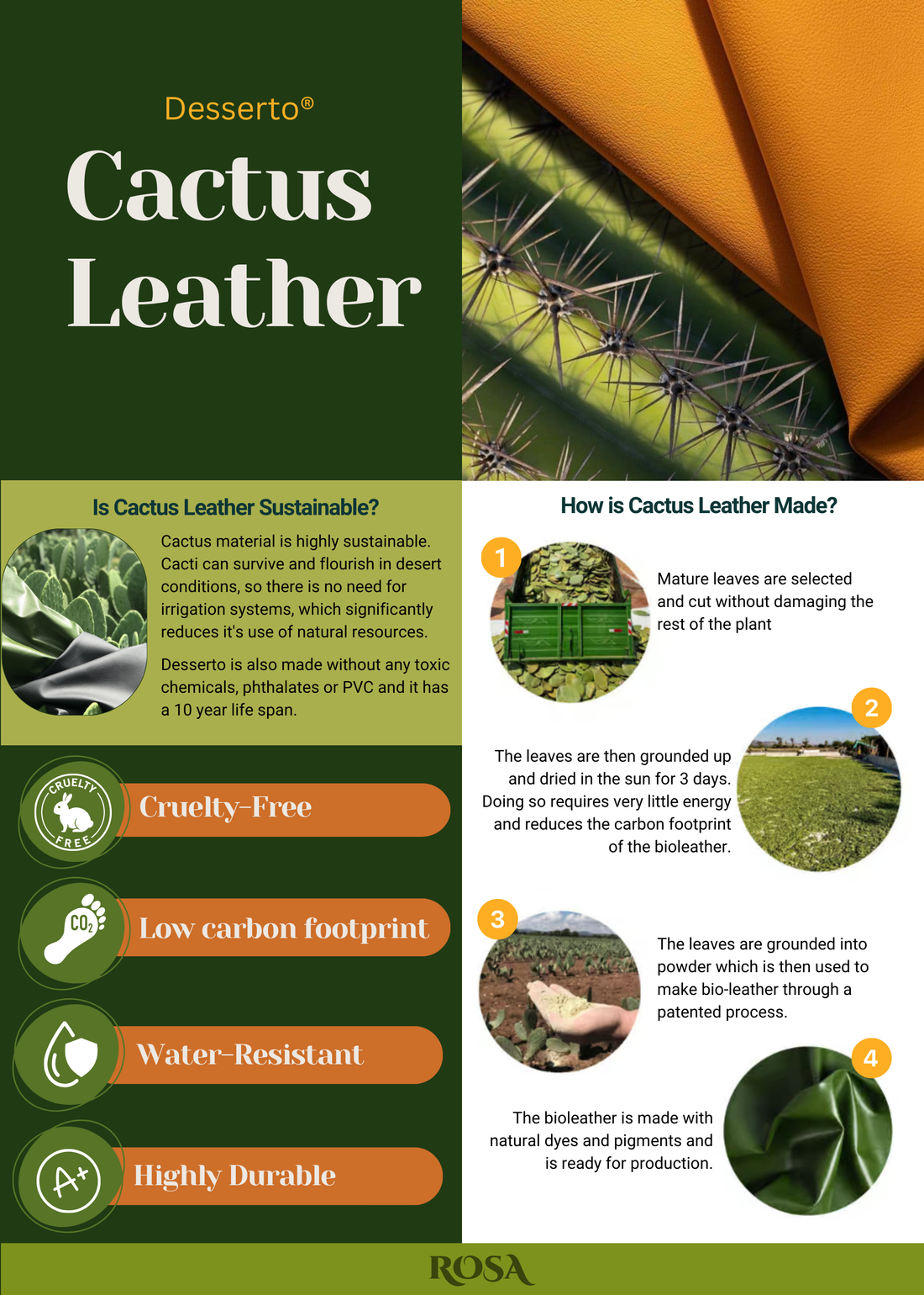 About Cactus Leather