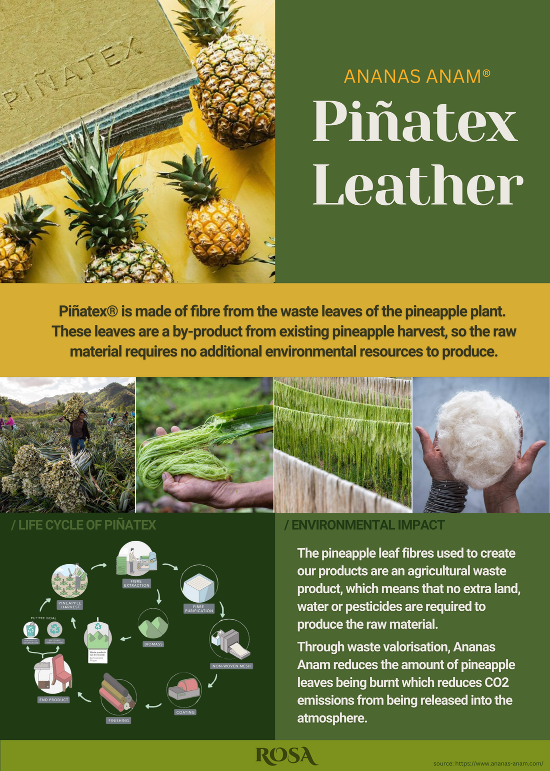 About Piñatex Leather Bags